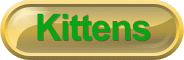 kittensheader.gif (6379 bytes)