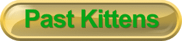 pastkittensheader.gif (8474 bytes)