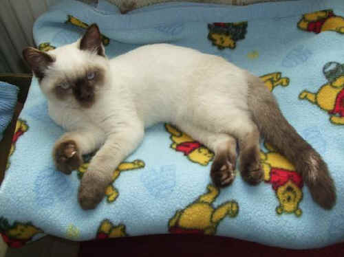 C:\Users\Public\Pictures\C drive PICTURES\Pictures\Pictures\Joseph pics\2011\(8) Aug\Gulliver's Land\DSCF4043.JPG