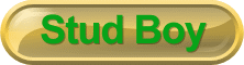 studboyheader.gif (7414 bytes)